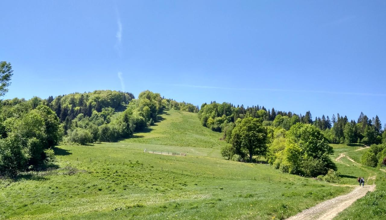 Cottage Kurshevel Slavske Exteriör bild